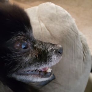 Meet your Posher, Christopher